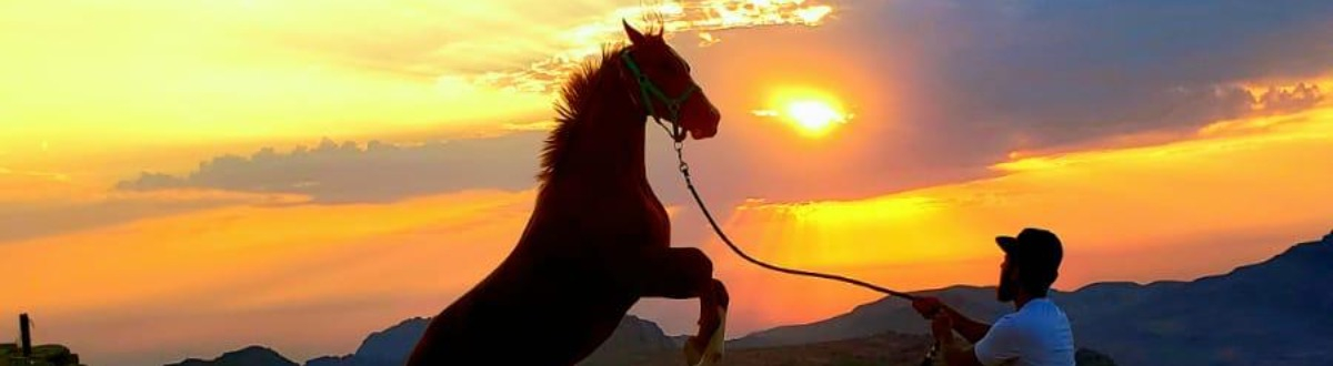 10 Days, 9 Nights Horse Adventure